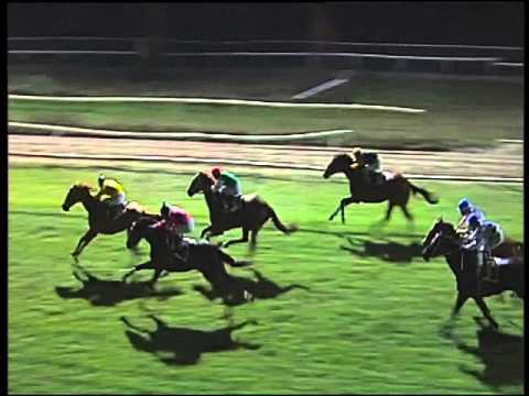 Galoppo 06/02/2016 - 7° corsa