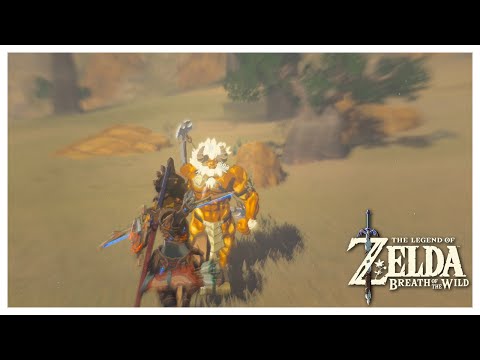 BotW - Sub Half Second Gold Lynel Speedkill
