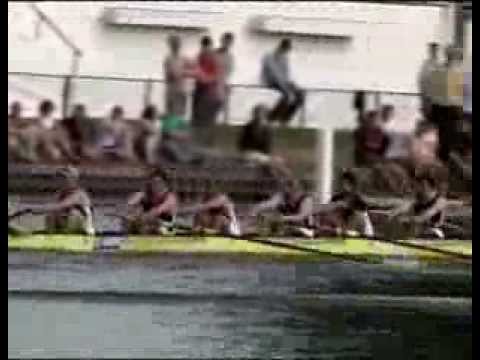 The Thames Challenge Cup 2006: Qualifying Races - 2
