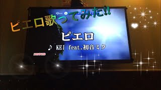 ピエロ歌ってみた!!