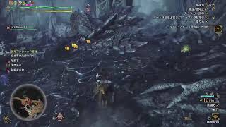 [モンハンワイルズ]　歴戦王アルシュベルド❕