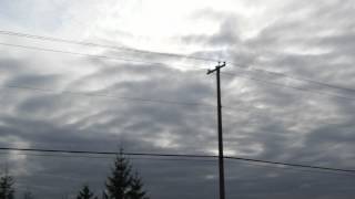 Rufio - Tears (acoustic cover)