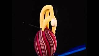 Poti Poti - Cançons infantils - Dansa Hongaresa