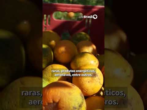 16 de julho de 2026