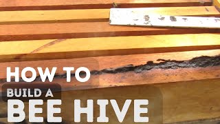 DIY Langstroth Beehive: How to Build a Bee Box for Beginners (Step-by-Step Guide)