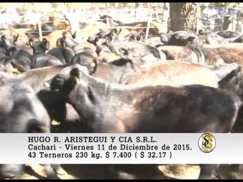 11-12-15 Venta de Machos - Hugo R.Aristegui y Cia S.R.L. - Cacharì.
