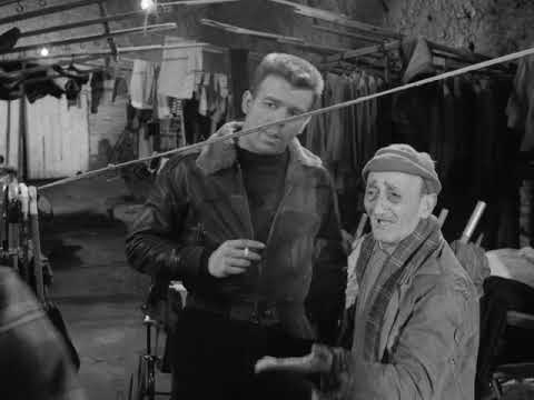 Mario Monicelli Le Pigeon Vittorio Gasman 1958