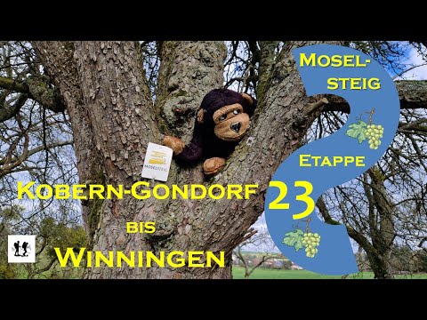 #Moselsteig, Etappe 23: Von Kobern-Gondorf nach Winningen