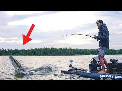 24 Stunden Angel Challenge – nur essen, was ich fange! 🎣🔥