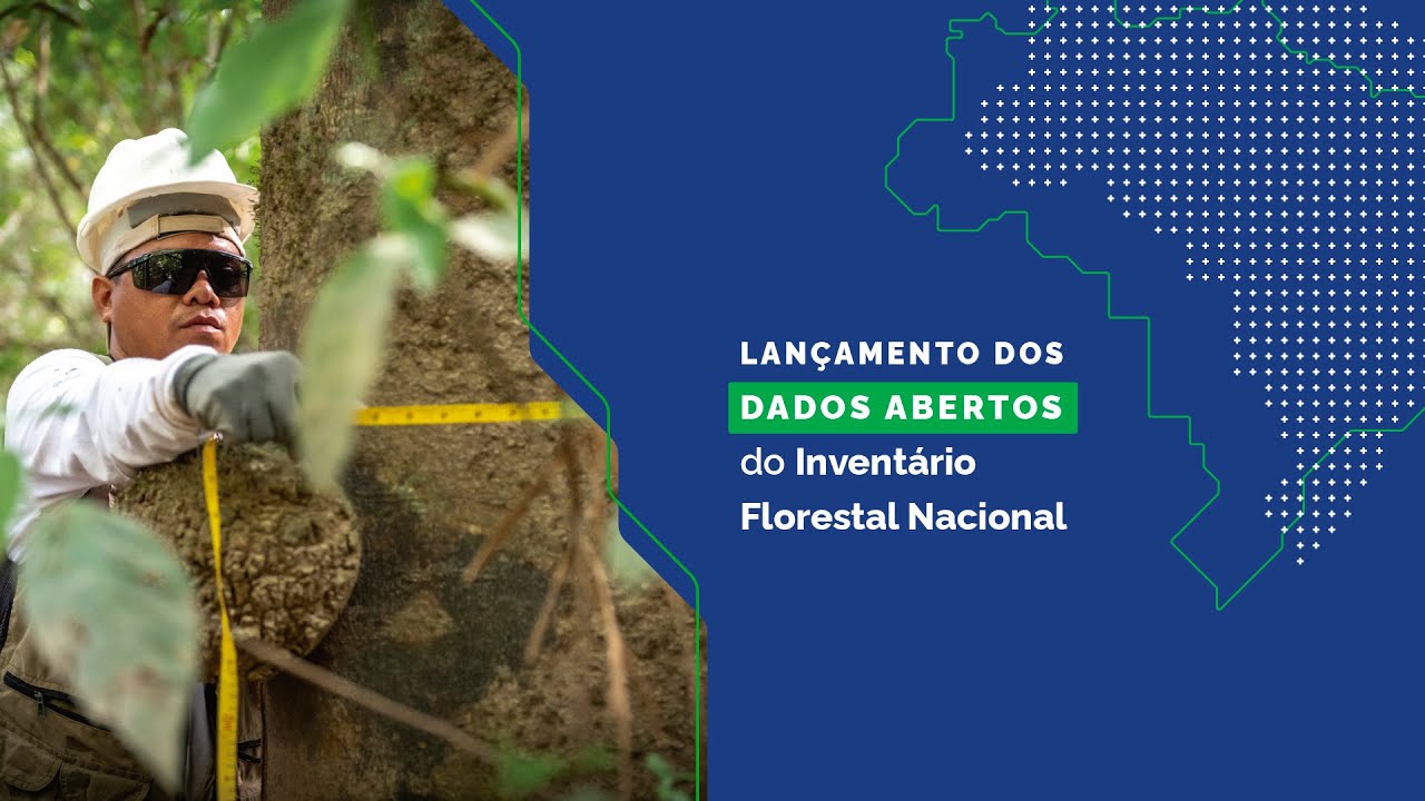 Lançamento dos dados abertos do Inventário Florestal Nacional