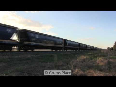 Wumbulgal CFCLA Wheat Train January 21 2015