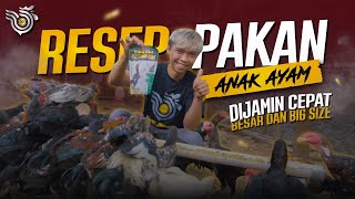 Download lagu RACIKAN PAKAN ANAK AYAM SUPAYA CEPAT BESAR DAN TINGGI mp3