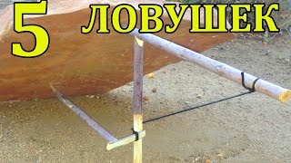 Ссылка
