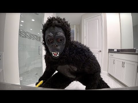 I AM A GORILLA 🙊 Surprise for Marcos and Laura - Brancoala Family