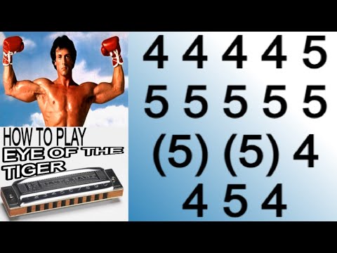 EYE OF THE TIGER HARMONICA ( C DIATONIC ), ARMÓNICA C, BLUES HARP C, GAITA DE BOCA C, MUNDHARMONIKA