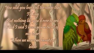 PASSENGER ft BIRDY- BEAUTIFUL BIRDS-LYRICS