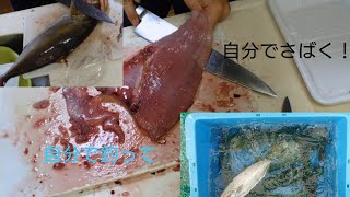 【釣り】自分で釣って、自分で食べる!!中学生でも魚はさばけます