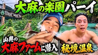 【大麻の楽園パーイ】山奥の大麻ファームに潜入・秘境温泉