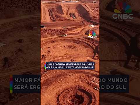 Maior fábrica de celulose do mundo será erguida no Mato Grosso do Sul #shorts