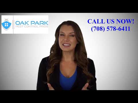 YouTube video about: Where does pest control spray in apartments?