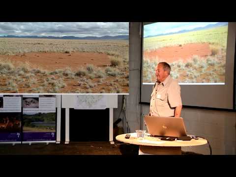 Knepp "Freeing the Landscape": Vera Talks - Ted Green