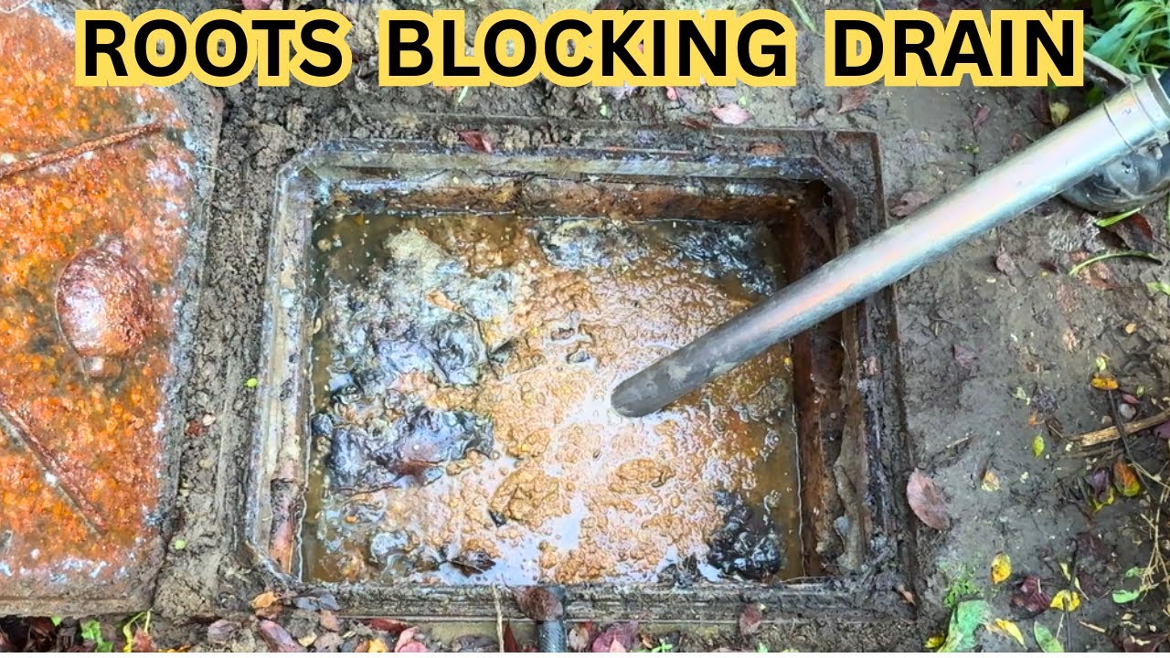 Clogged Drain Nightmare Solved FAST by Expert Engineer