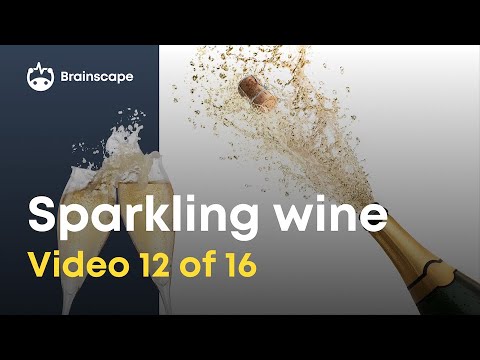 Wine 101: 10 Things every wine lover should know about sparkling wine!