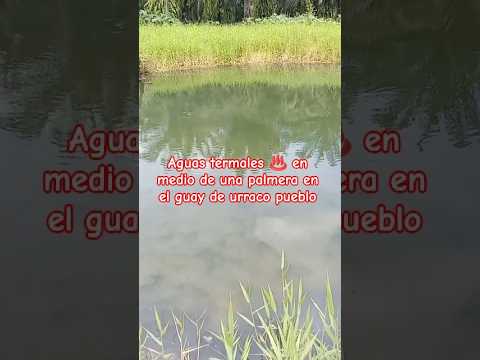 Aguas ♨️ en medio de una palmera en el guay de urraco pueblo el progreso yoro