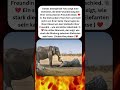 Sie blieb bei ihrer Freundin bis zum Abschied 🐘💔 #viral