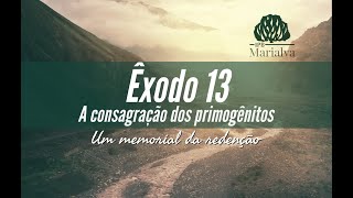 022 - ÊXODO 13:1-16 - A CONSAGRAÇÃO DOS PRIMOGÊNITOS