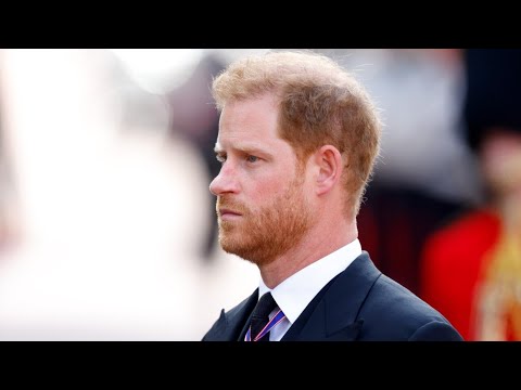Prince Harry attempts to ‘garner sympathy’ from the American public