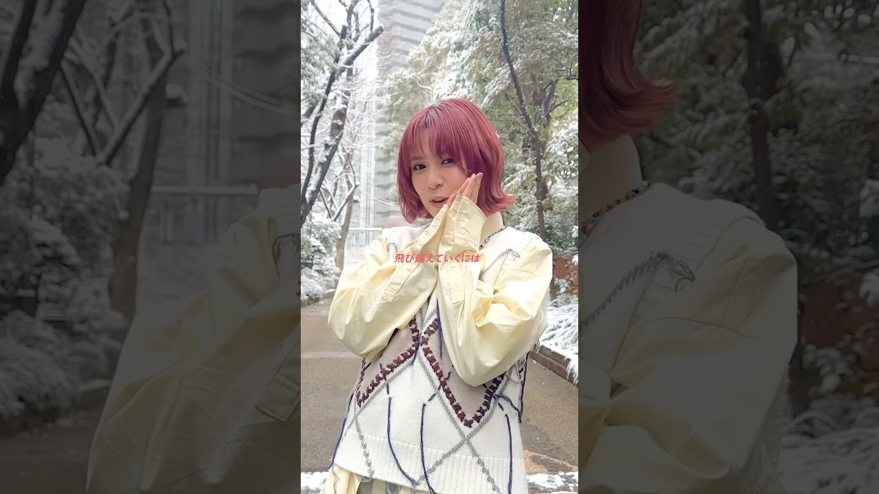 東京で雪が降った日に、ハードモード☃️🎵