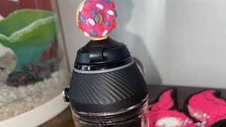 Puffco Proxy Easter Egg & Disco lights