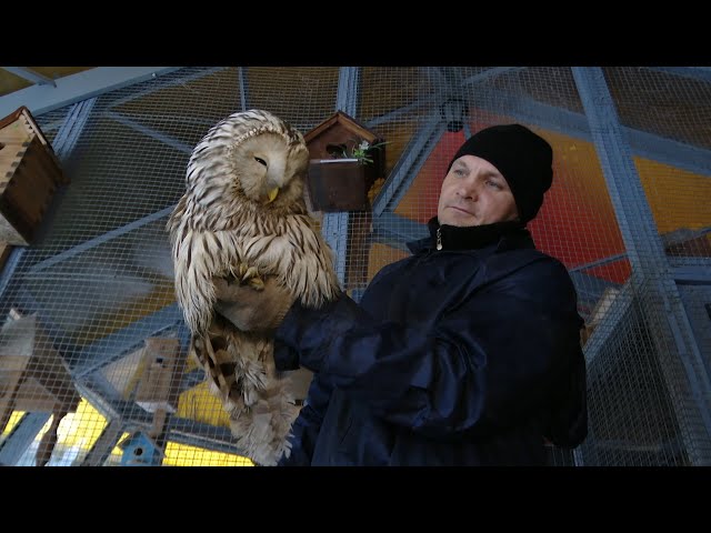 Новости Альметьевска (эфир от 8 февраля 2021)