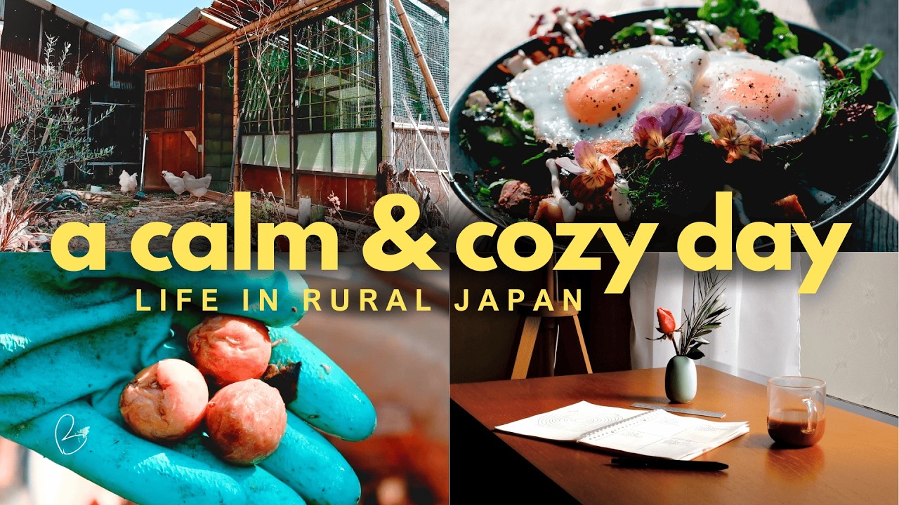 Living in Rural Japan: Setting Up the Coziest Home Office | Harvesting Ginkgo | Learn Japanese 2025
