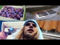 АЛЕКСАНДР БЛИНОВ И Asty McBrain НОВЫЙ ВЫЗОВ НА БАТТЛ И НОВЫЙ СЛИВ? АЛЕКСАНДР БЛИНОВ И Asty McBrain НОВЫЙ ВЫЗОВ НА БАТТЛ И НОВЫЙ СЛИВ?