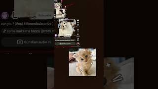 Download lagu katagian gyuss🗿😭 join lagiiii mp3 Download lagu katagian gyuss🗿😭 join lagiiii mp3