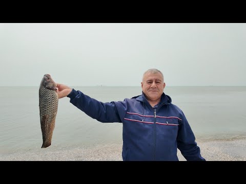 Whole Fish in Salt by the Caspian Sea | Flavorful Cooking