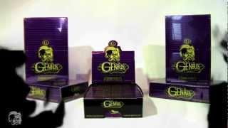 RIFF RAFF JODYHIGHROLLER FT LIL CHUCKEE YMCMB - ORIGINAL GENIUS ANTHEM RAP GAME EINTSTEIN