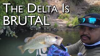 First Time Fishing In 3 years. | CA, Delta