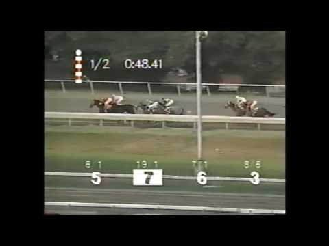 EL ORDENADOR - Copa Budweiser 1996