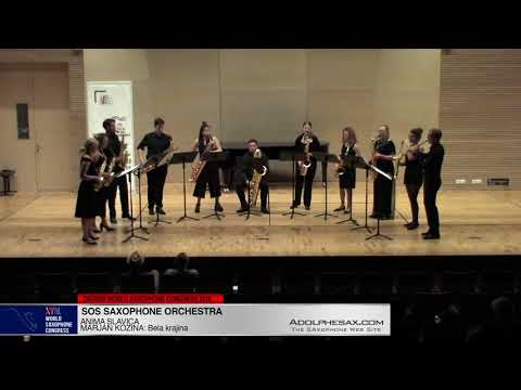 Bela krajina by Marjan kozina - SOS Saxophone Orchestra -XVIII World Sax Congress 2018