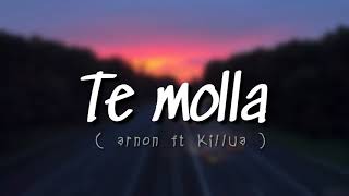 Download lagu te molla arnon feat killua....mp3