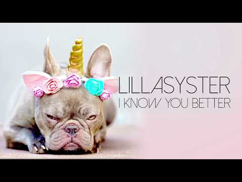 Lillasyster - I Know You Better (Official Music Video)