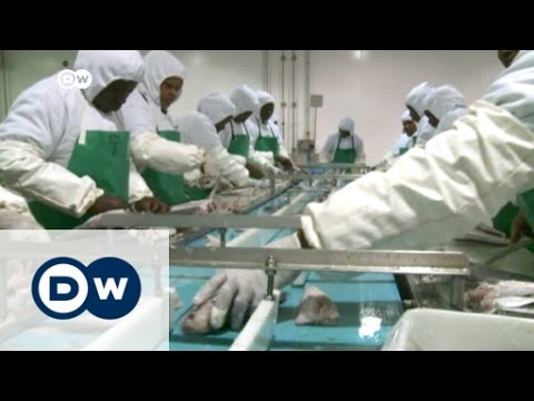 Namibia's commitment to "Vision 2030" | DW News