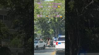 10/3 #hawaii 警察官がゴム弾持ち走る！#waikiki #police #shorts @Machami