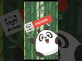 Mr.Panda Intro