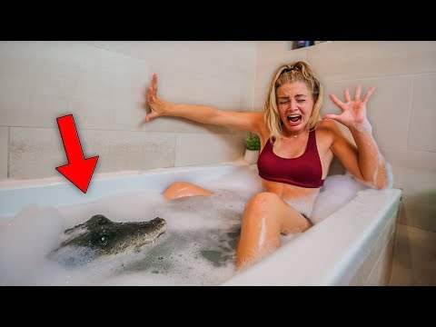 ALLIGATOR IN BATH PRANK ON MY GIRLFRIEND! Video