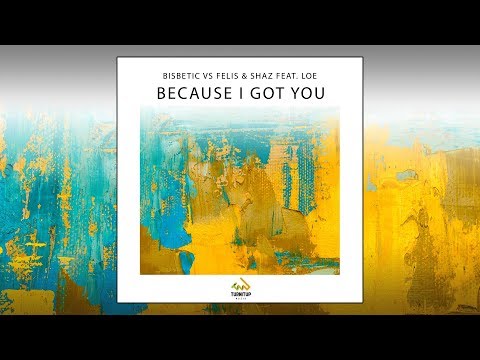 Bisbetic vs. Felis & Shaz featuring Loe - Because I Got You