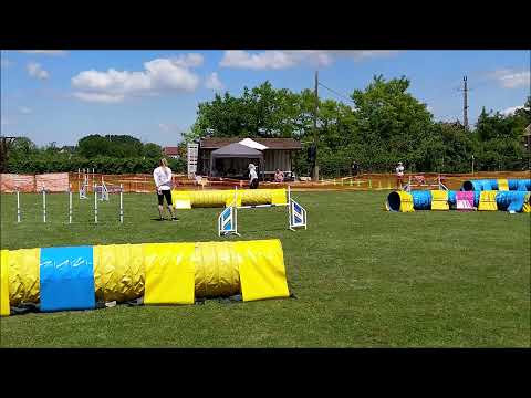 PILIS OPEN LIGHT AGILITY VERSENY 2021.06.13 - Legendary of Jet Black Mithos 3. hely